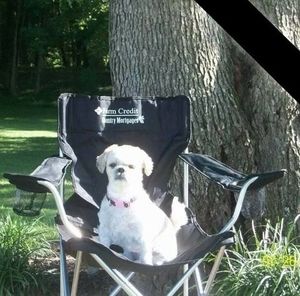 Meet your Posher, Jane